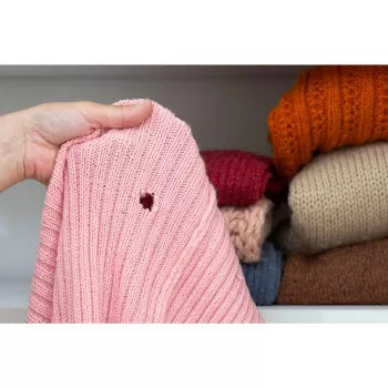 Comment protéger vos vêtements en laine et cachemire des mites