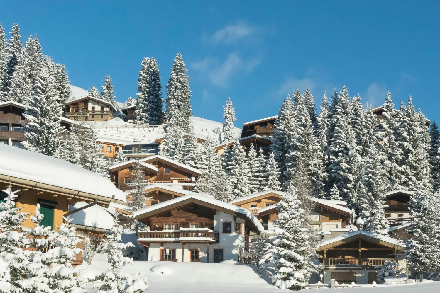 paysage de chalet à la montagne