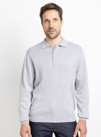 pull homme col polo en laine gris givré